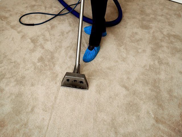 Hot Water Carpet Cleaning